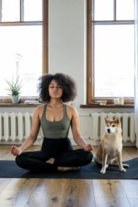 Understanding Mindfulness Meditation